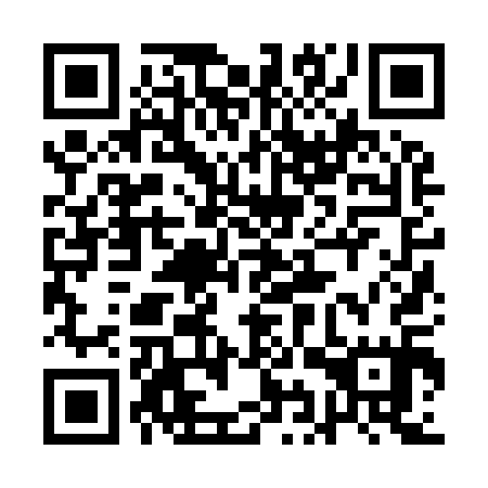 QR code for plate 1IZ 915