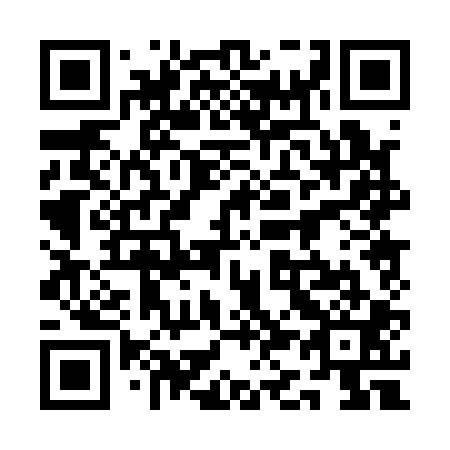QR code for plate 1K 0101