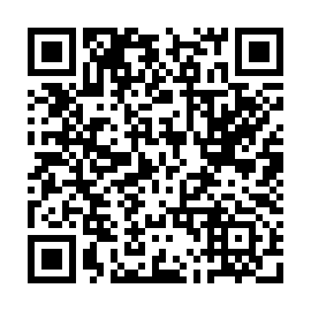 QR code for 1L 3393