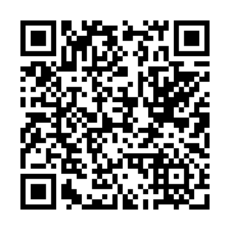 QR code for plate 1L 0696