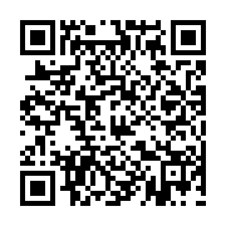 QR code for plate 1L 1703