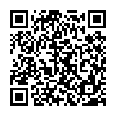 QR code for plate 1L 9236