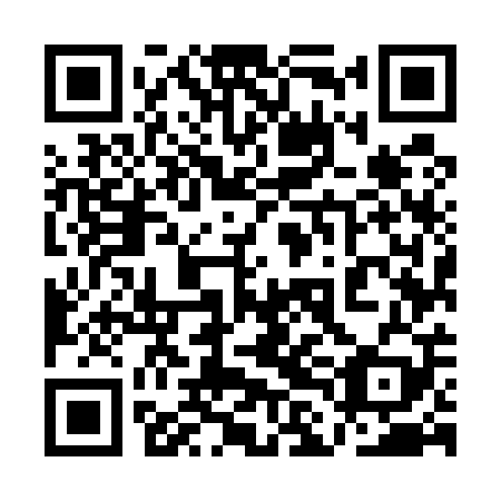 QR code for plate 1LM 509