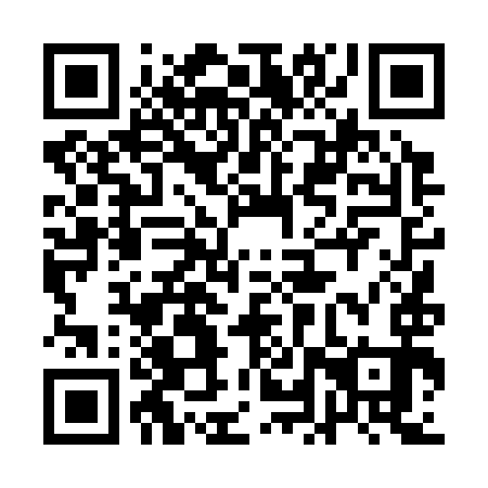 QR code for 1LT 393