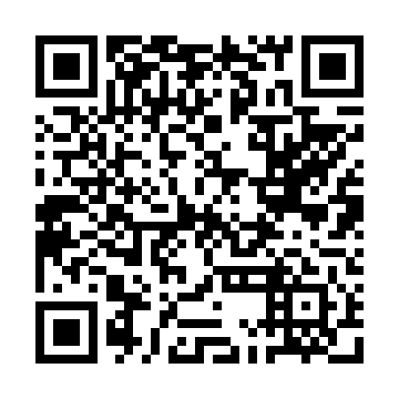 QR code for plate 1MB 641