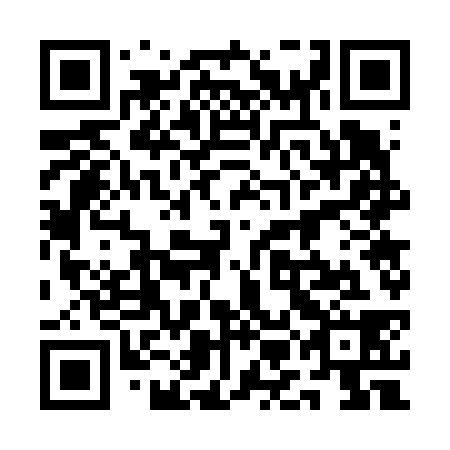 QR code for plate 1MG 638