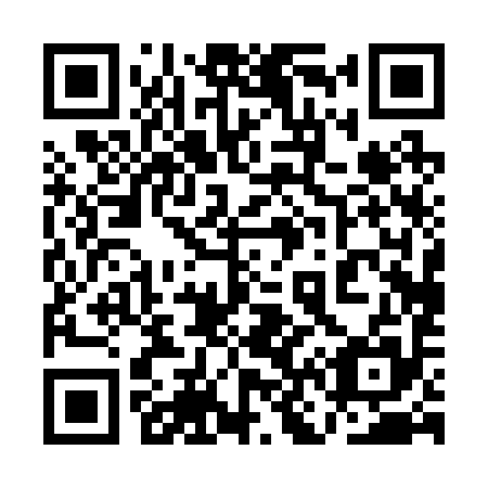 QR code for 1N 0295