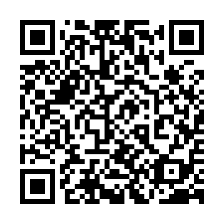 QR code for 1N 3919