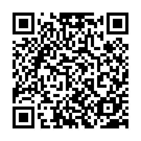QR code for 1N 7005