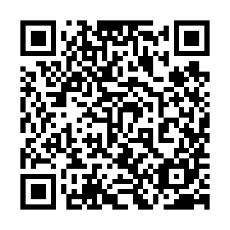 QR code for 1N 9685