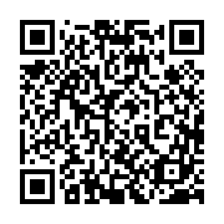 QR code for plate 1N 0063