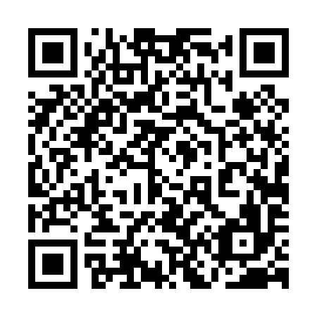 QR code for plate 1N 4096