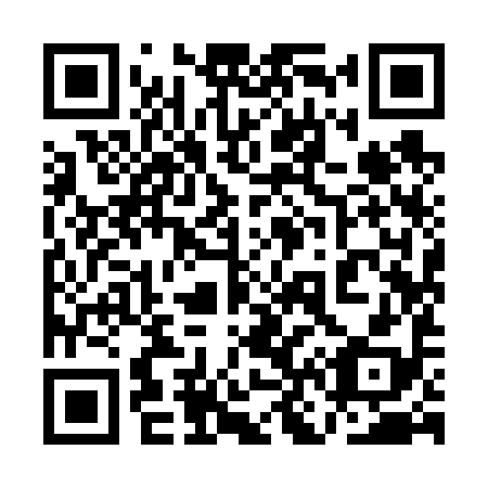 QR code for 1N9698