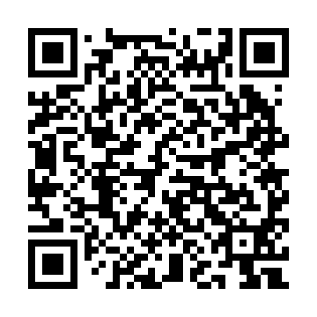QR code for plate 1NG 290