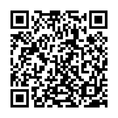 QR code for plate 1NK 013