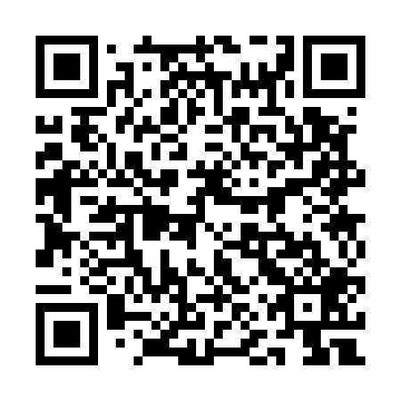 QR code for 1NS 509
