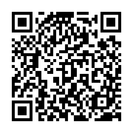 QR code for plate 1O 3743