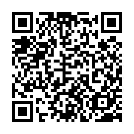 QR code for plate 1OE 500