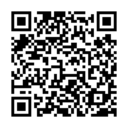 QR code for plate 1OK 699