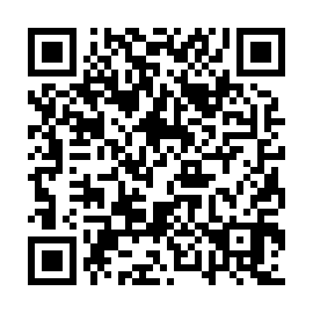 QR code for plate 1P 3810