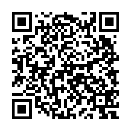 QR code for 1P4619