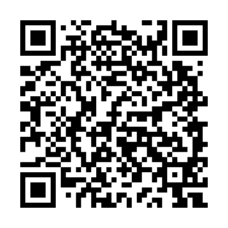 QR code for plate 1P 4790