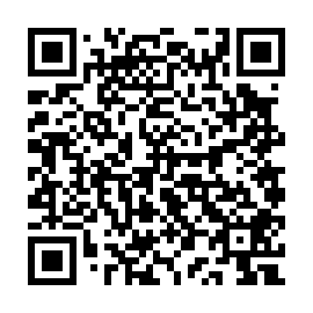 QR code for plate 1P 6008