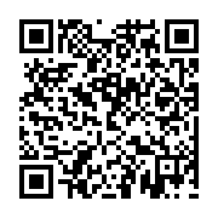 QR code for 1P6386