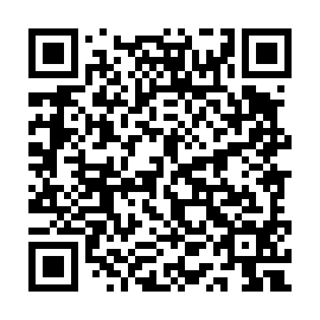 QR code for plate 1QH 494