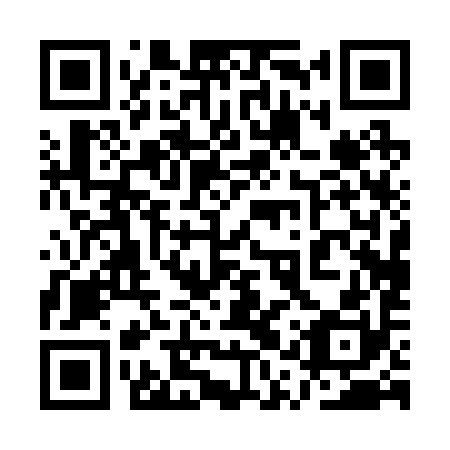 QR code for plate 1QP 290