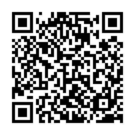 QR code for plate 1SF 517