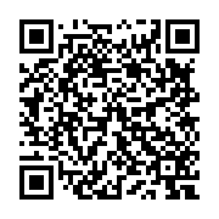 QR code for plate 1T 3856