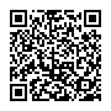 QR code for plate 1T 9238