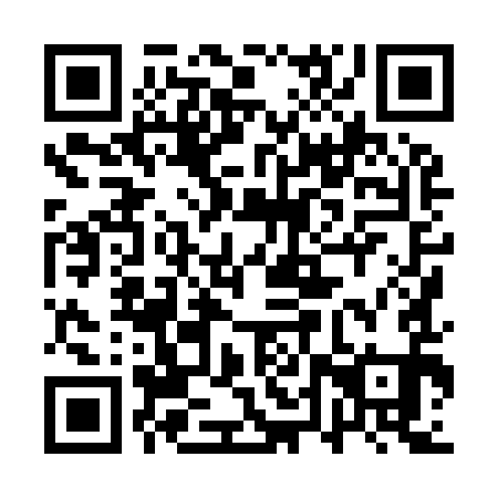 QR code for 1TX 991