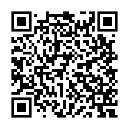 QR code for plate 1V 0155