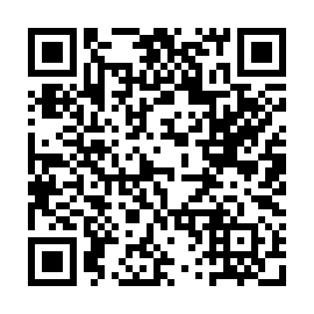 QR code for plate 1V 9390