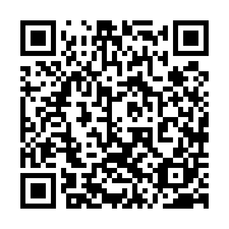 QR code for plate 1VX 500
