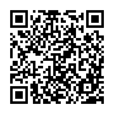 QR code for plate 1WJ 386