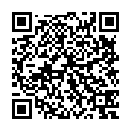 QR code for 1X 3838