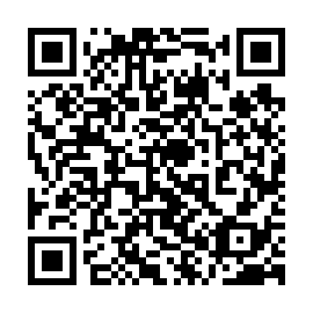 QR code for plate 1X 6638