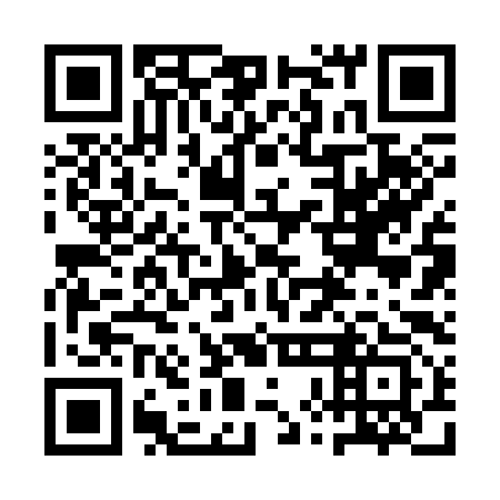 QR code for 1XB 393
