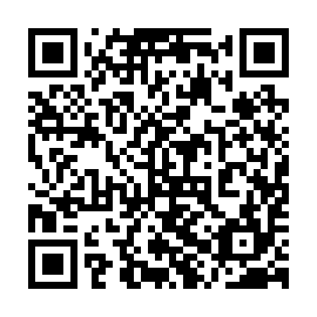 QR code for plate 1XQ 294