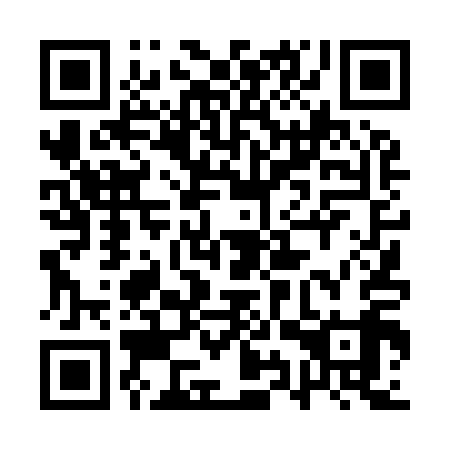 QR code for plate 1YT 919