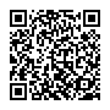 QR code for 1Z 6029