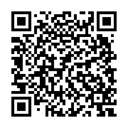 QR code for plate 1Z 4617