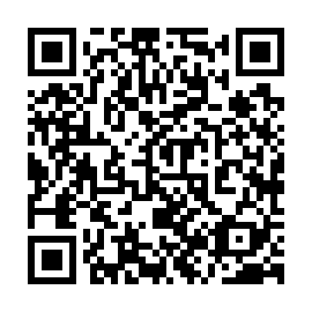 QR code for plate 1Z 8729
