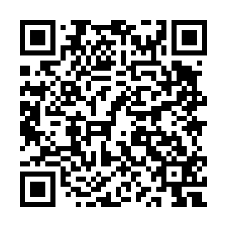 QR code for plate 1ZI 413