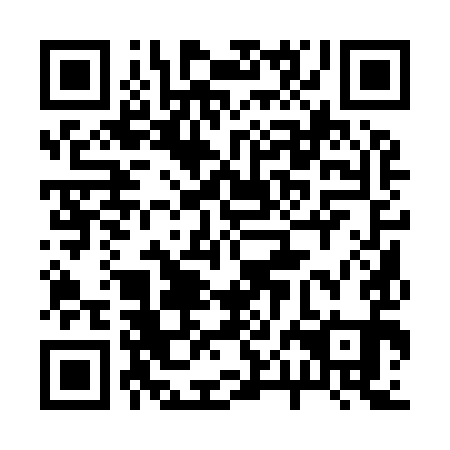 QR code for 20A 991