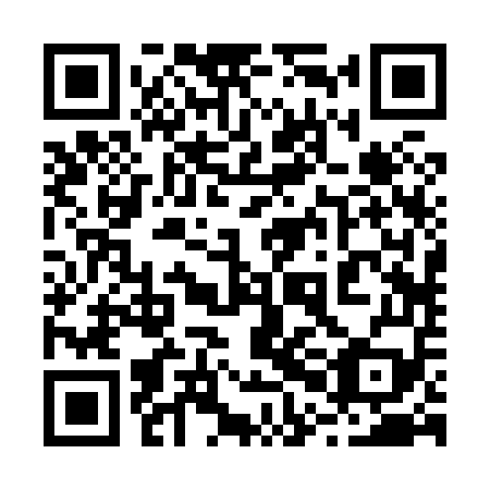QR code for plate 20B 859