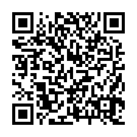 QR code for plate 20B 867